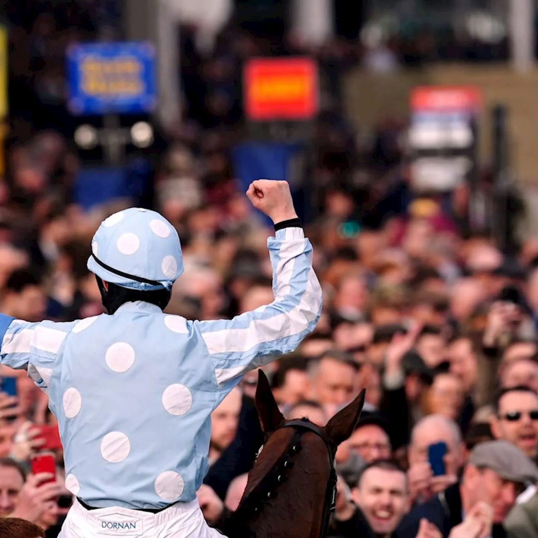 CHELTENHAM FESTIVAL 2025 Number Four at Stow